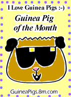 Guinea Pig of the Month.gif (6864 bytes)