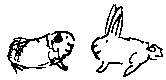 pig and rabbit.gif (754 bytes)