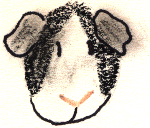 colorpig5.gif (14558 bytes)